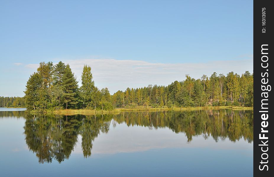 Scenic view of forest reflected on lake