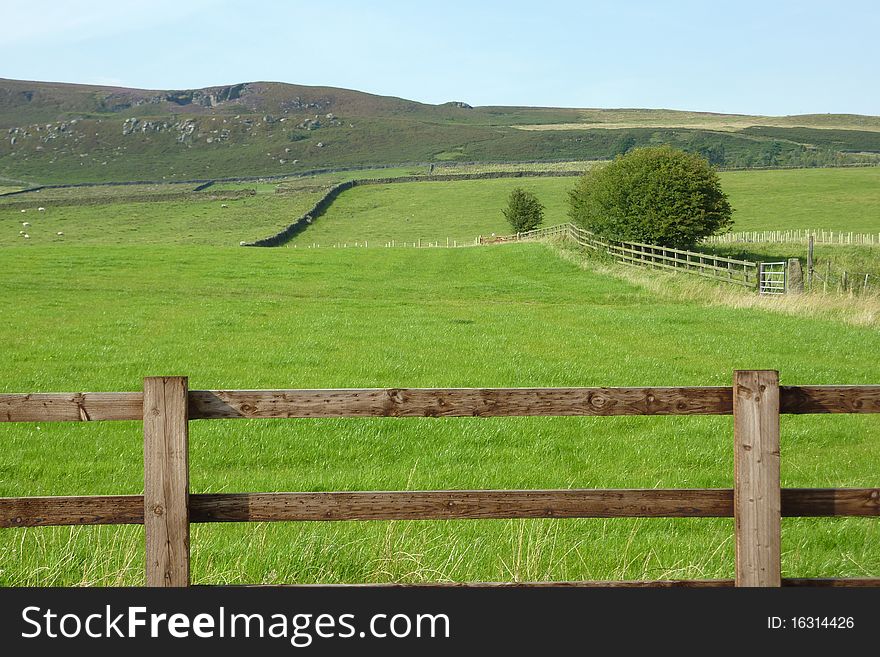 Farmland in Yorkshire Dales with sheep in background. Farmland in Yorkshire Dales with sheep in background