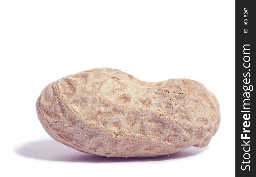 Single peanut isolated on white. Shalow depth of field with front part of the peamut in focus. Single peanut isolated on white. Shalow depth of field with front part of the peamut in focus.