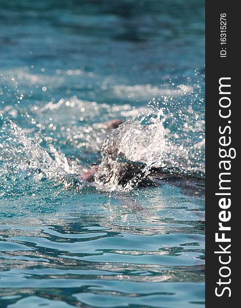 Photo of a swimmer in the pool. Photo of a swimmer in the pool.