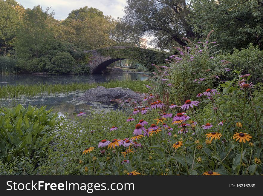 Summer In Central Park By The Pond With Flowers