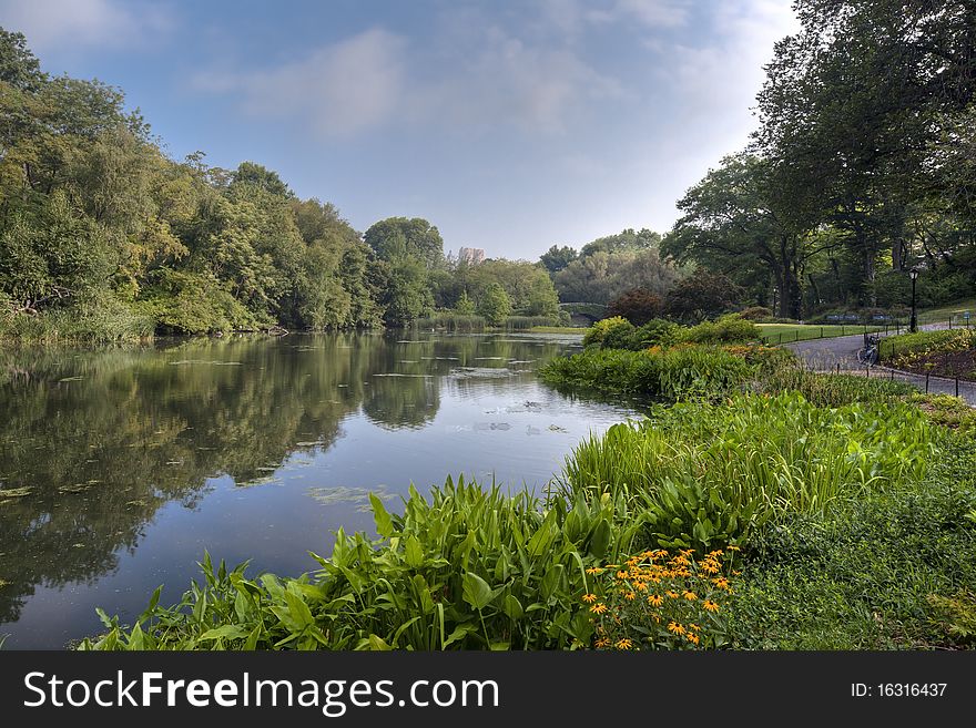 Central Park in the early morning at the pond. Central Park in the early morning at the pond