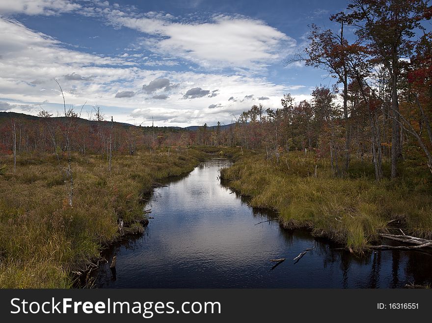 Autumn Scene In Maine