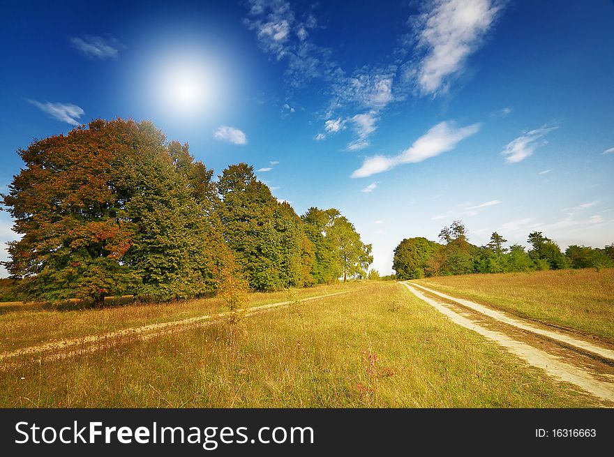 Autumnal panorama of wonderful trees and blue sky. Autumnal panorama of wonderful trees and blue sky.