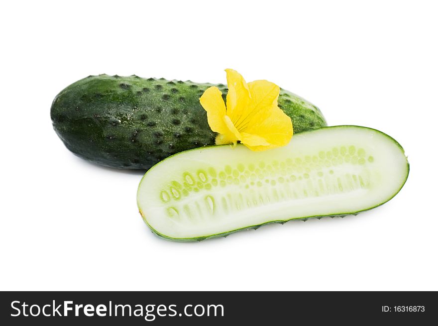 Green cucumber vegetable with  flowers