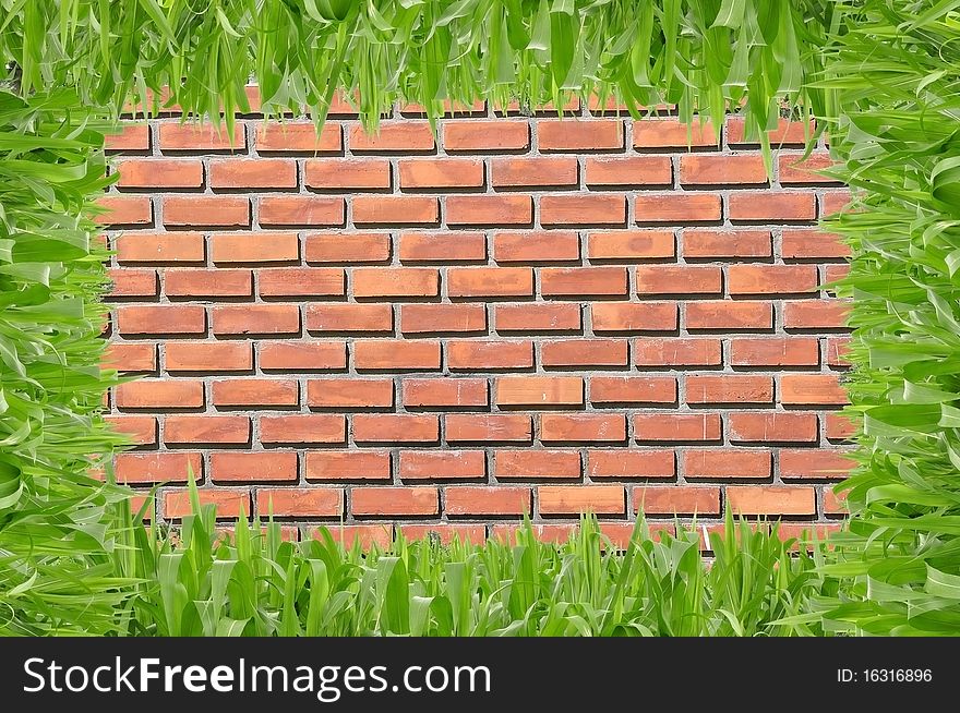 Square grass in front of brickwall background