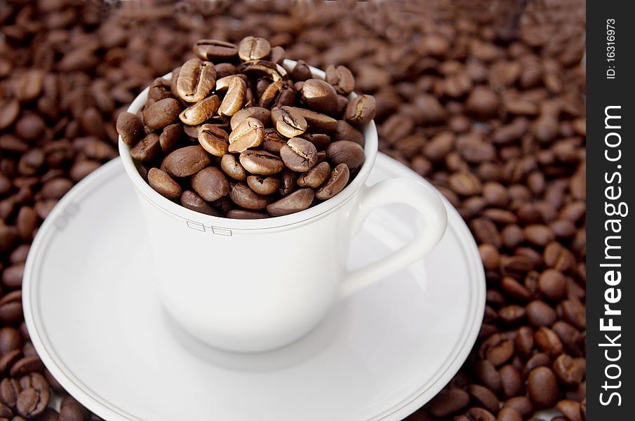 Best varieties of coffee beans. Best varieties of coffee beans