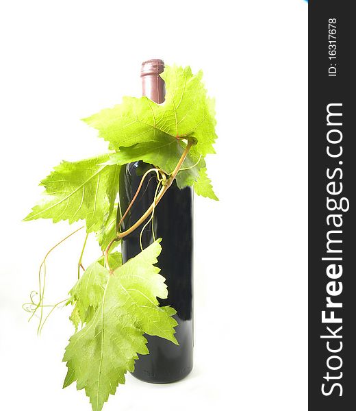 Wine bottle and young grape vine branch isolated on a white background