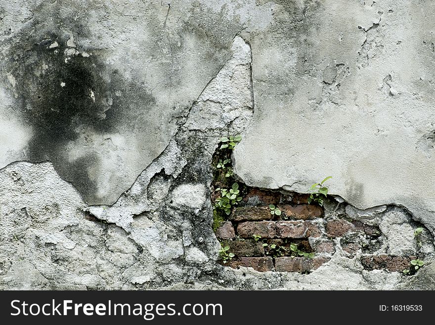 A split of old concrete is beauty texture on the wall.