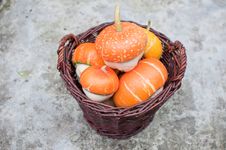 Basket Full Of Orange Decorative Pumpkin Stock Image Basket Full Of Orange Decorative Pumpkin Stock Image