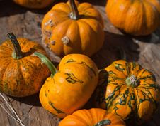 Pumpkins And Gourds Royalty Free Stock Photos Pumpkins And Gourds Royalty Free Stock Photos