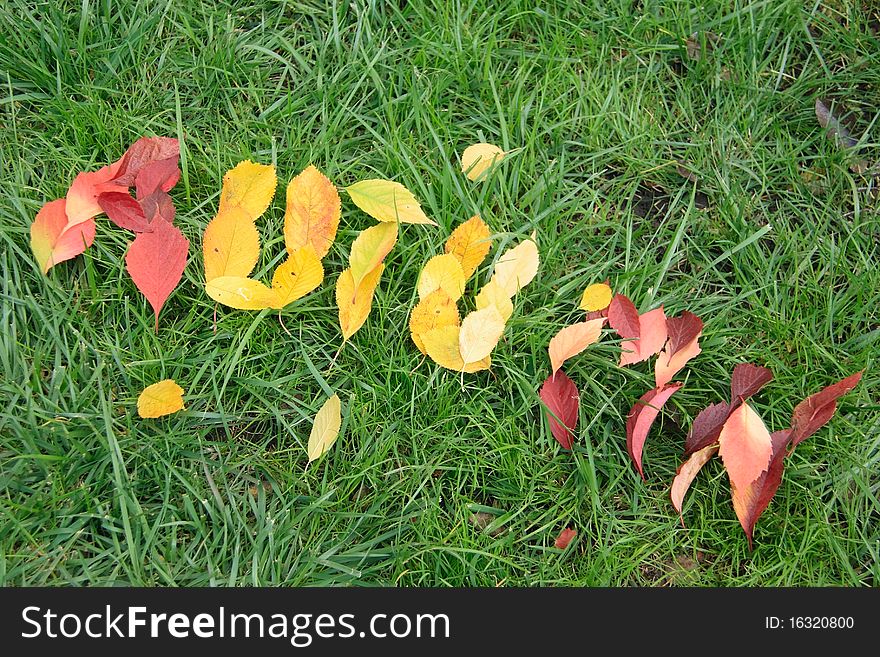 Fallen red and yellow leafs making word autumn