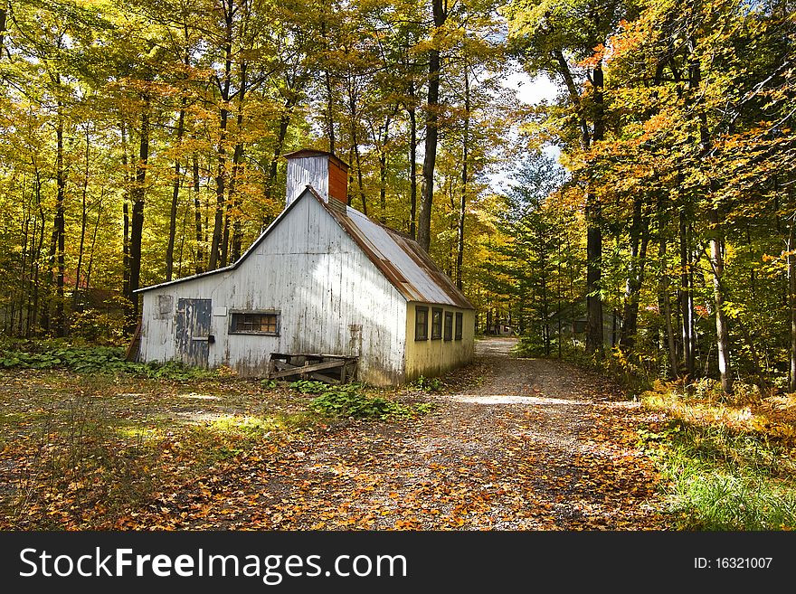 Old shed in a automn landscape. Old shed in a automn landscape