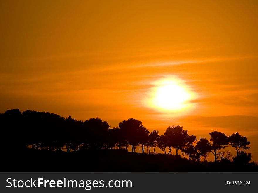 Beautiful orange sunset and a silhouette of trees in the front