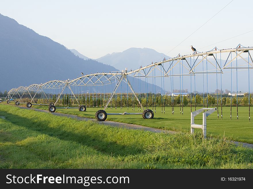 Watering system found at a turf farm. Watering system found at a turf farm.