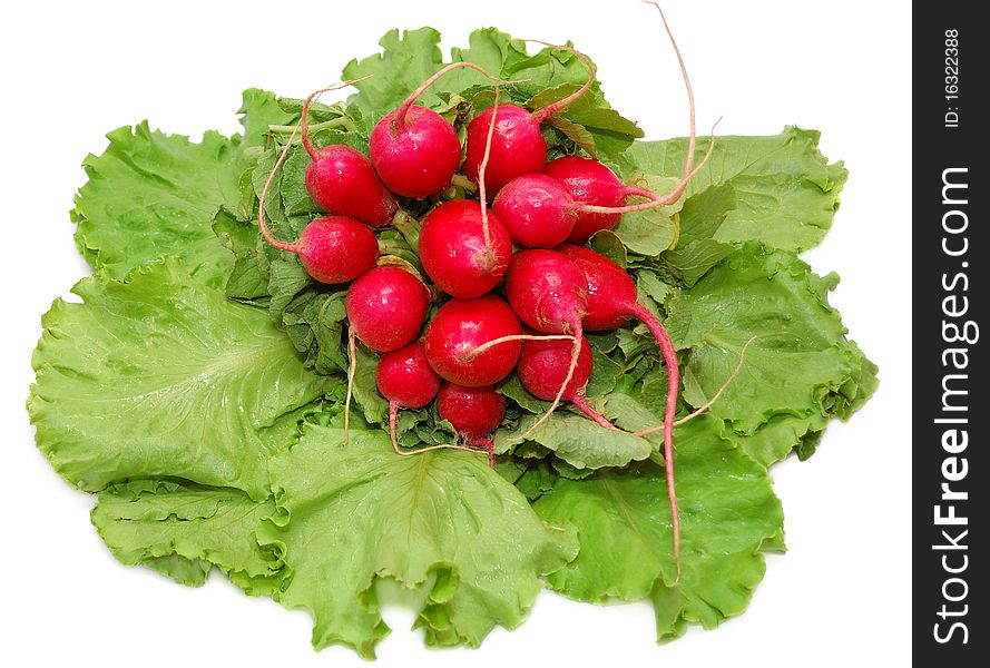 Garden radish bunch on green leaves isolated on white