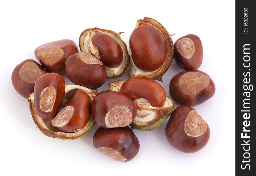 A conker is the seed of a horse chesnut tree. A conker is the seed of a horse chesnut tree.