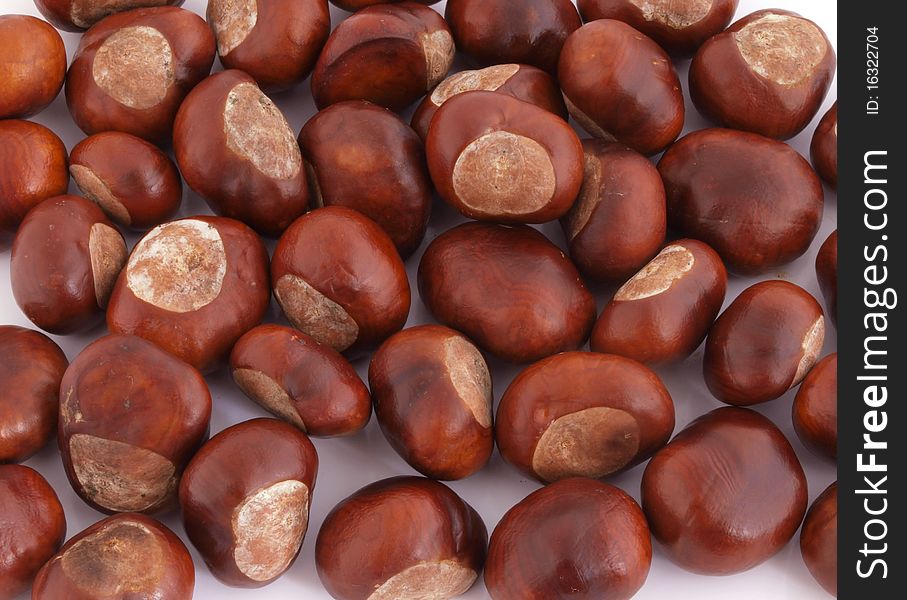 A conker is the seed of a horse chesnut tree. A conker is the seed of a horse chesnut tree.