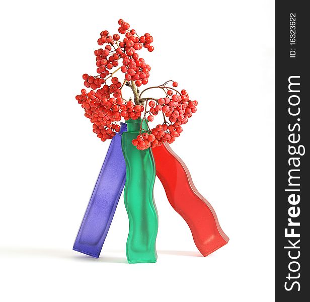 Still life with red natural rowan on a white background