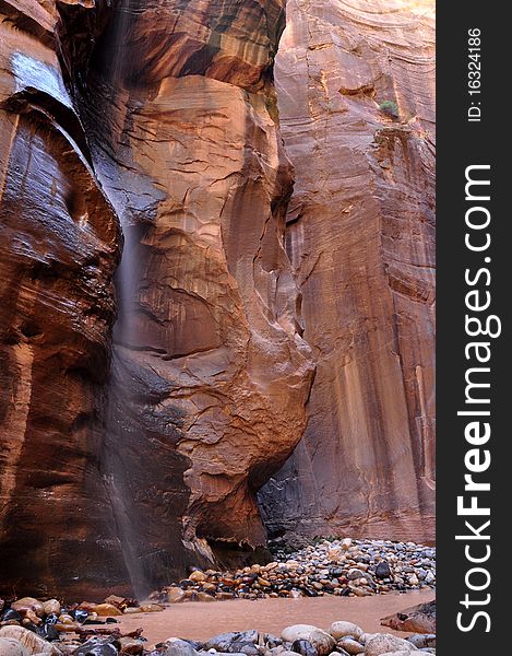 The diverse trek through Zion's premier canyon is one of the most touted and breathtaking adventures in America. Extraordinary beauty and unique character describe this amazing gorge. Hanging gardens burst from dramatically colored perpendicular walls while trickling water threads its way through moss covered boulders. Gentle slopes give way to sheer walls funneling streams of water into fluted slides and twisting channels cutting deeper and deeper as the journey continues its path southward. Along the sandy perches of the banks, towering ponderosa send their roots downward, hungry for nutrients and water. The entire trip is wondrous. The Zion Narrows deserves its reputation as one of the best.