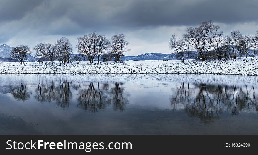 Reflexion of trees on lake. Reflexion of trees on lake