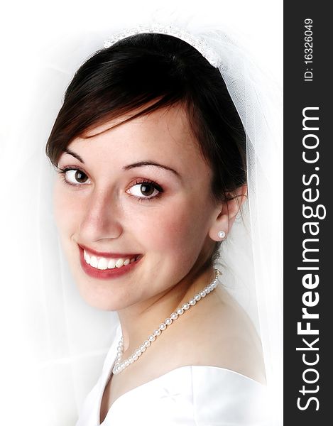 Portrait of Bride in Wedding Dress with bridal veil. Portrait of Bride in Wedding Dress with bridal veil