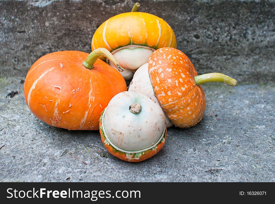 Four decorative pumpkins (Cucurbita pepo) with orange and yellow tops on concrete background