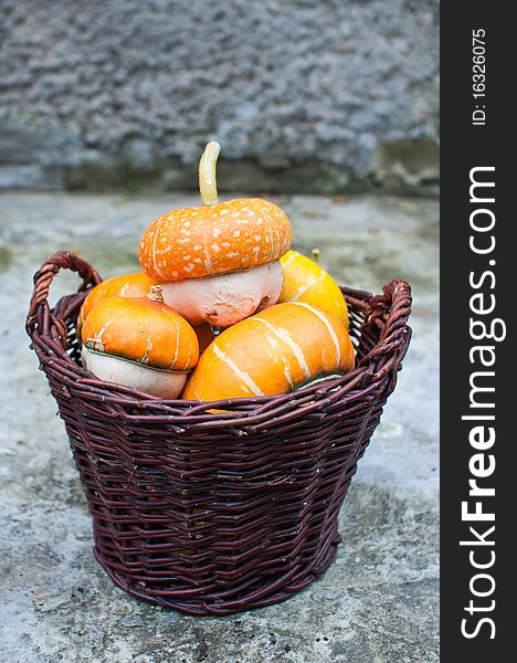 Basket of decorative pumpkins (Cucurbita pepo)