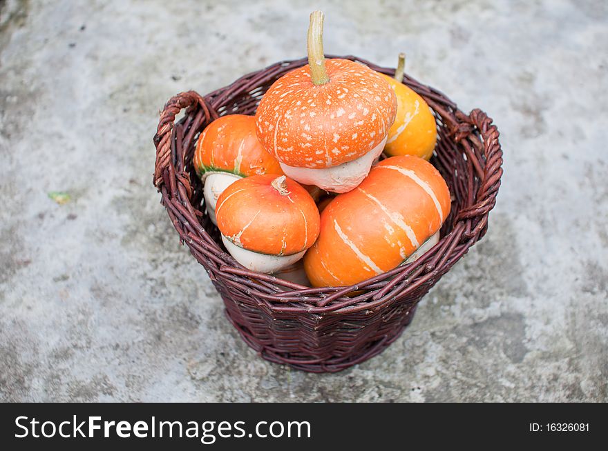 Looking down on a wicker basket full of orange decorative pumpkins (Cucurbita pepo)
