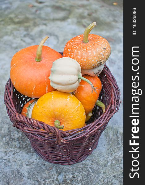 Wicker basket full of decorative pumpkins (Cucurbita pepo) with orange and yellow tops and interesting shapes. Wicker basket full of decorative pumpkins (Cucurbita pepo) with orange and yellow tops and interesting shapes