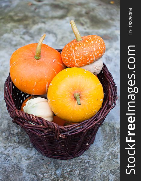 Basket of decorative pumpkins (Cucurbita pepo)