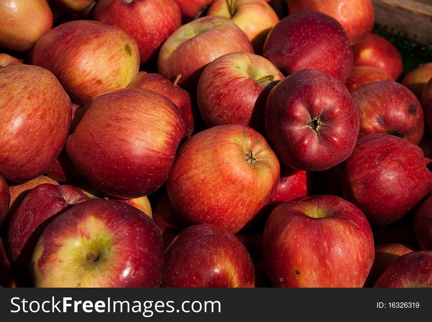 Closeup of multiple red apples for sale at an outdoor market.