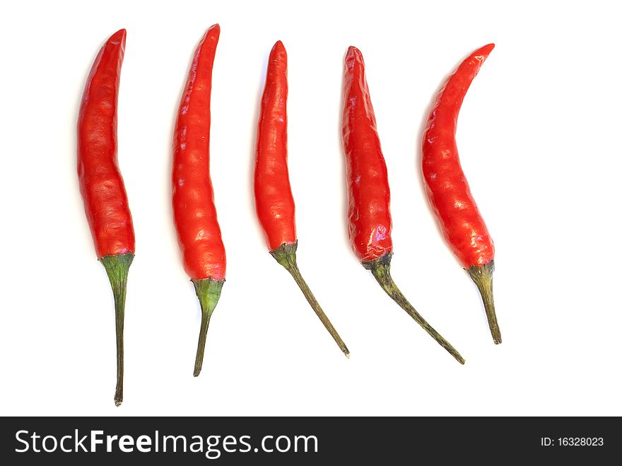 Hot chili pepper isolated on white. Hot chili pepper isolated on white