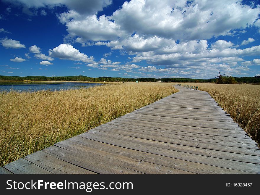 A wooden path through lake and reedsï¼Œwith beautiful clouds in the skyã€‚