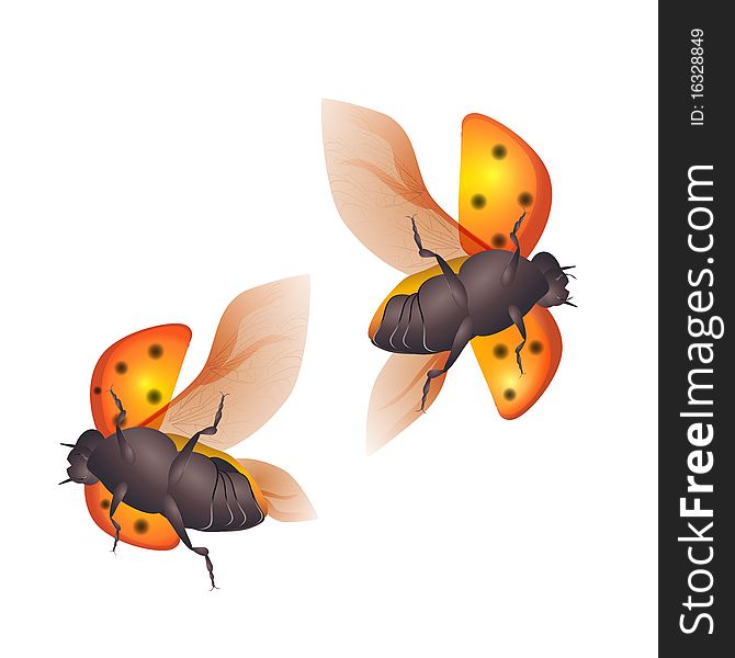 Two flying ladybirds, clip art illustration