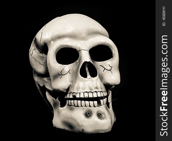 Skull of the person