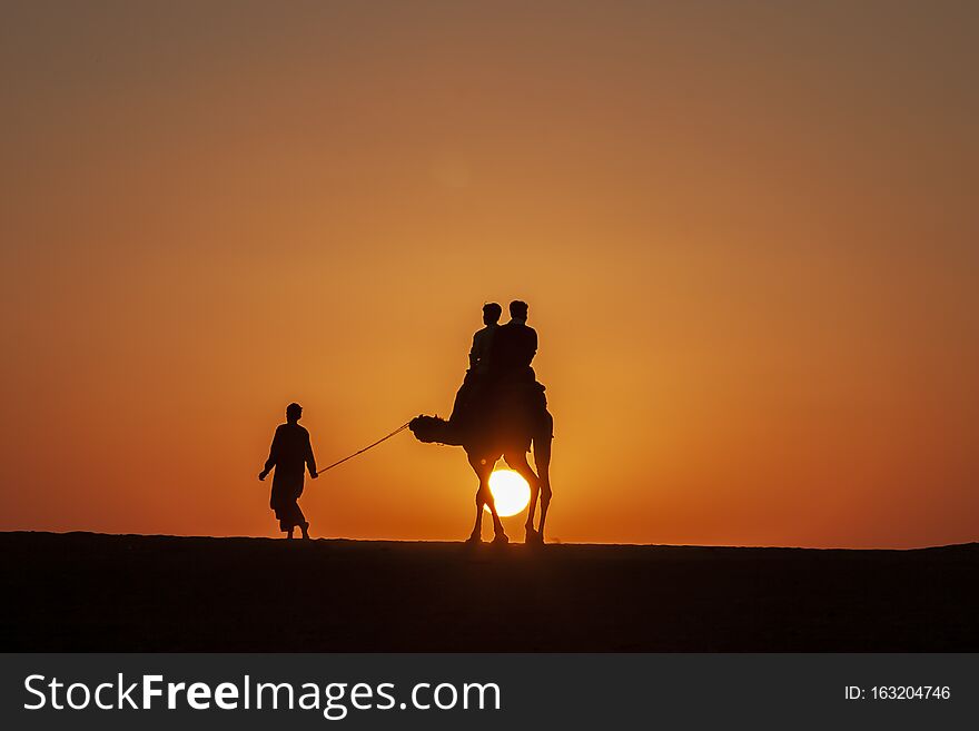 Going home on camels at sunset in rajastan thar desert at festival time