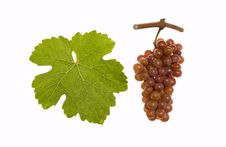 Red Gewuerztraminer Royalty Free Stock Images