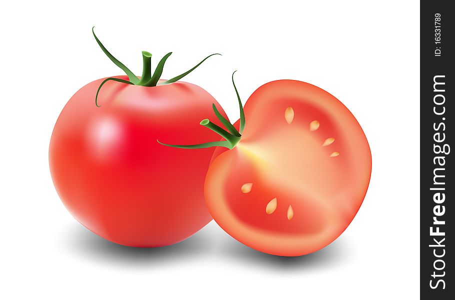 Two tomatoes. Isolated on white background.