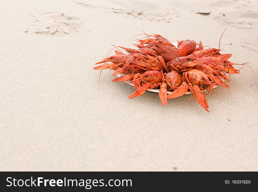 Crayfish On Sand