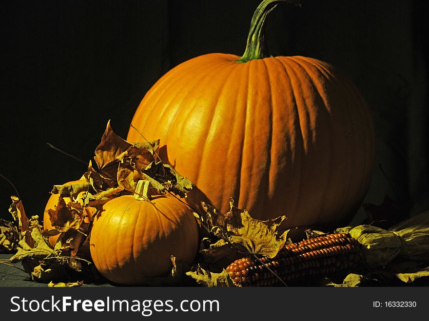 Fall/harvest/halloween generic image. Fall/harvest/halloween generic image.