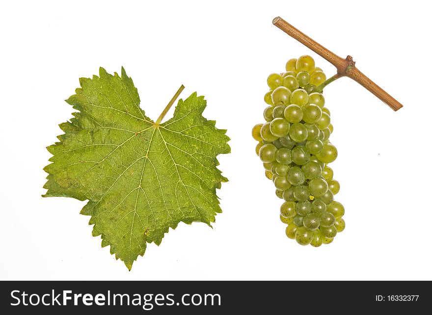 Leaf and grapes of white chenin