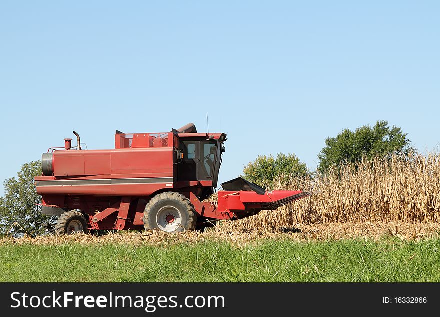 Red farm corn combine in a corn field against a blue sky. Red farm corn combine in a corn field against a blue sky