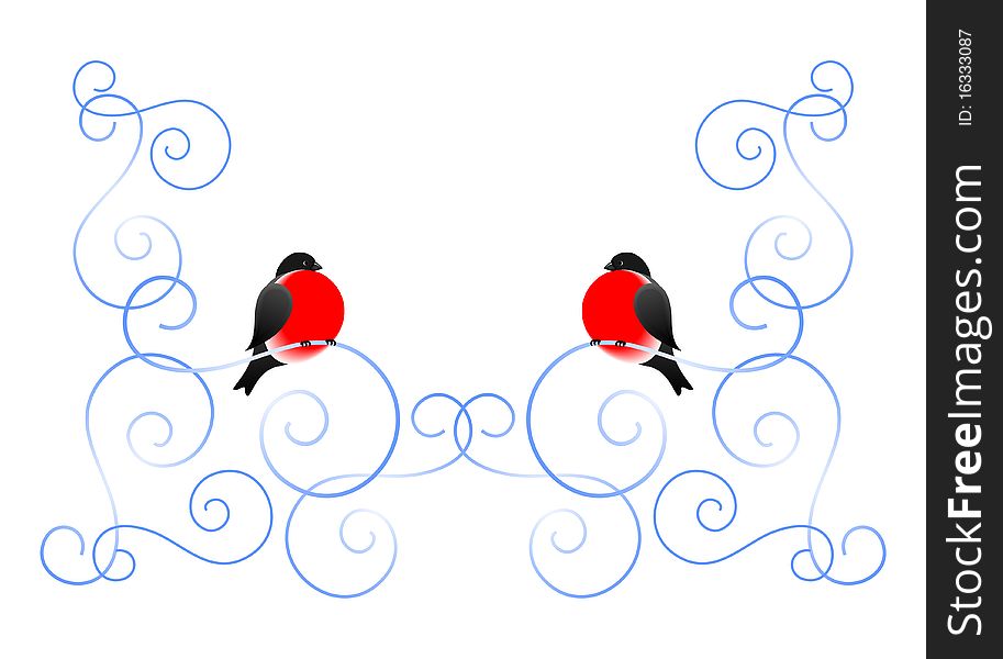 Bullfinch And A Winter Pattern