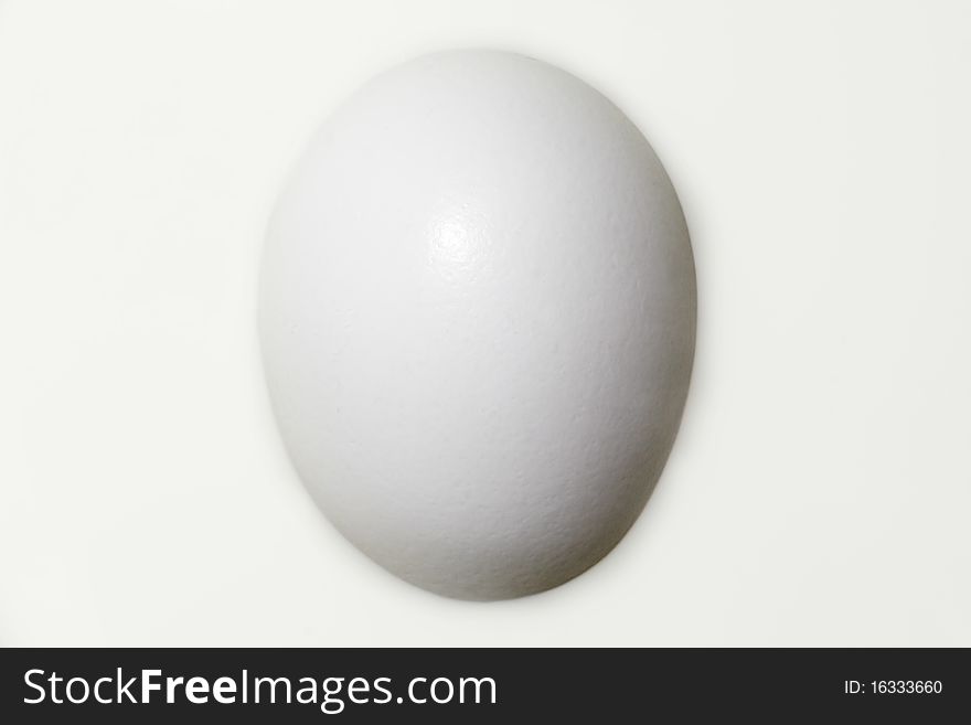 Egg In Milk