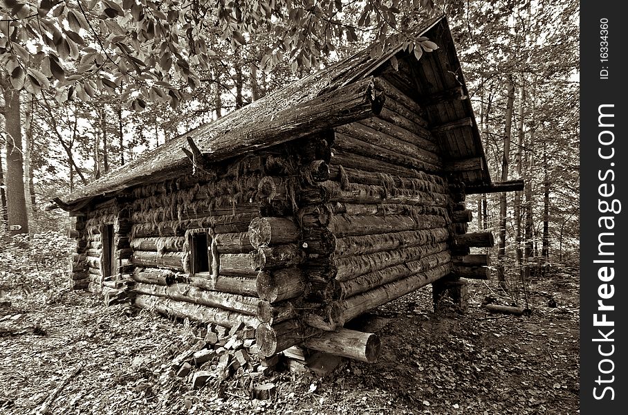 Old cottage in the forest