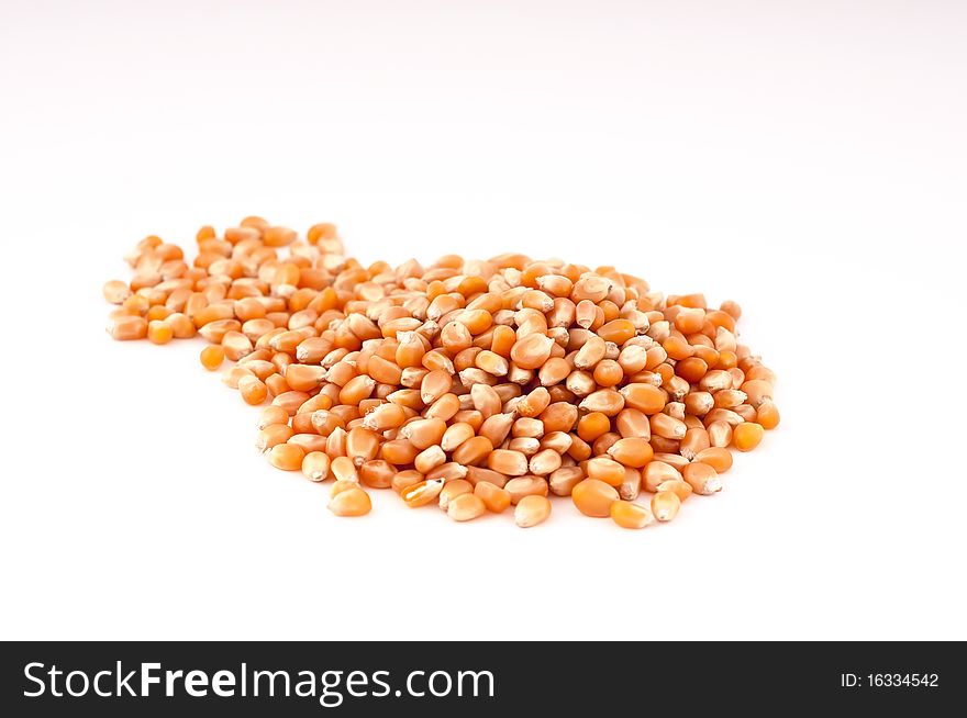 A heap of corn on a white background.