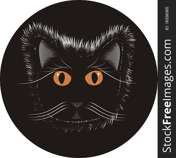 Cat on black Circle