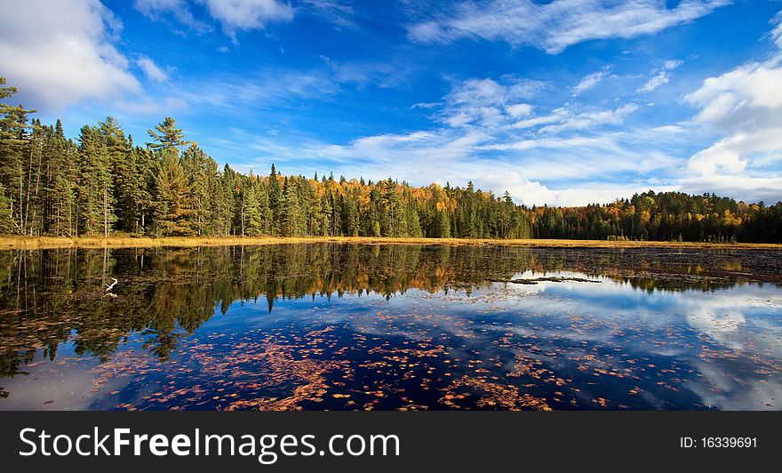 It's taken at Algonquin park at Fall at a sunshine day. It's taken at Algonquin park at Fall at a sunshine day.