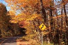 Fall Color Road Drive Royalty Free Stock Image Fall Color Road Drive Royalty Free Stock Image